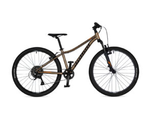 Ua42963701 A Matrix 26